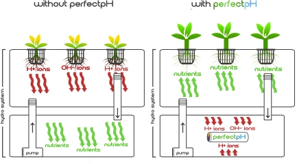 TORUS HYDRO - PERFECTpH ORIGINAL 250GAL | 950L Indoorline