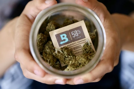 BOVEDA 58% - MANTENIMENTO UMIDITA' COSTANTE |  4gr IMBUSTATO SINGOLARMENTE Indoorline