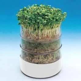 BIOS - GERMINATORE DI SEMI BIOSET