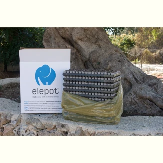 ELEPOT - CUBETTI PER RADICAZIONE Indoorline