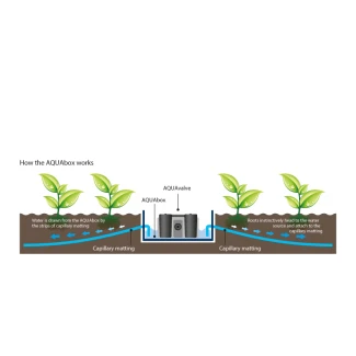 AUTOPOT - AQUABOX STRAIGHT SISTEMA DI SUBIRRIGAZIONE