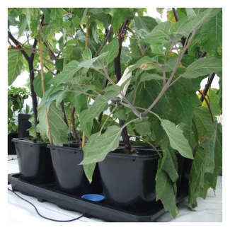 AUTOPOT - AUTO9 XL KIT DI COLTIVAZIONE | 114,5x105,5cm