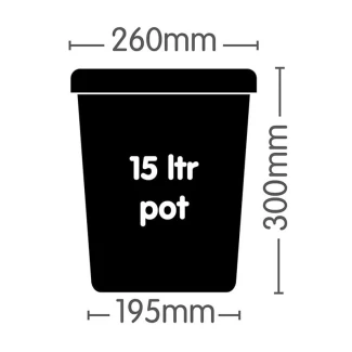 AUTOPOT - VASO | 15L