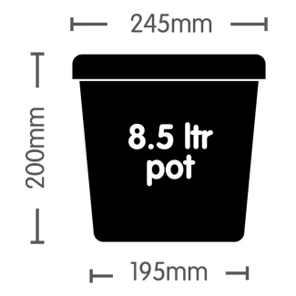 AUTOPOT - VASO | 8,5L