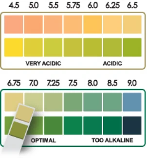 pH TEST IN STRISCE COLORIMETRICHE 100PZ