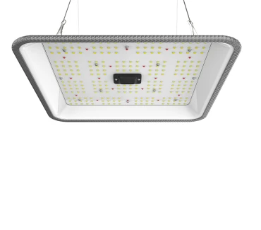 Ortoled FC 60W Samsung