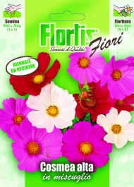 4351040 - FLORTIS | COSMEA ALTA MIX